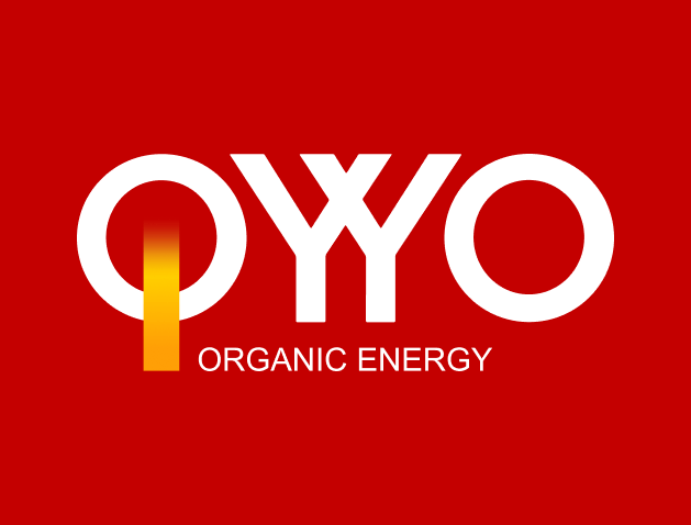 Создание сайта компании «OYYO»